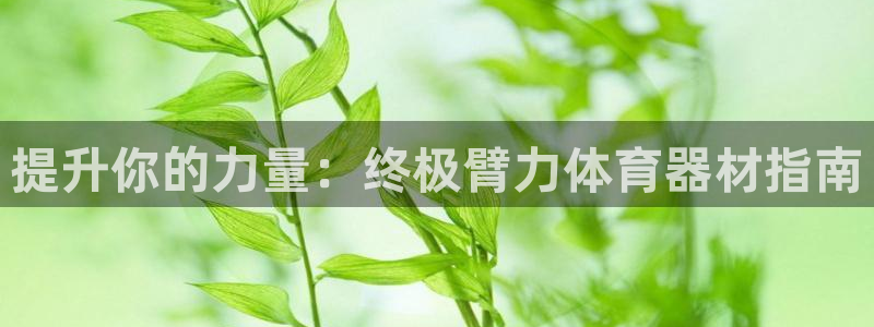 富联官网丁6.7.5.1.3.8：提升你的力量：终极臂力体育