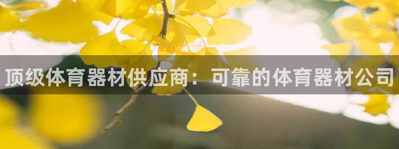 富联官网注册不了账号吗：顶级体育器材供应商：可靠的体