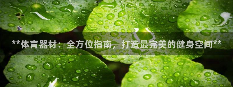 富联平台开户条件：**体育器材：全方位指南，打造最完美的健身