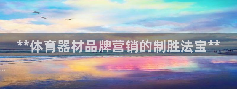 富联官网代理系列是正品吗：**体育器材品牌营销的制胜