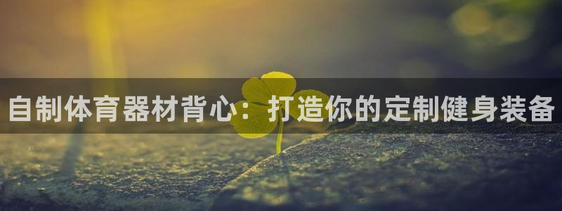 富联娱乐平台能挣到钱吗现在：自制体育器材背心：打造你