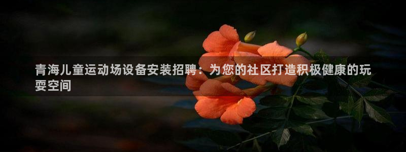富联娱乐怎么样知乎：青海儿童运动场设备安装招聘：为您的社区打
