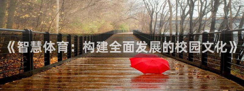 富联官网注册不了账号吗：《智慧体育：构建全面发展的校