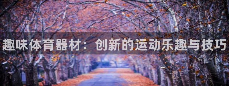 富联娱乐平台能挣到钱吗安全吗：趣味体育器材：创新的运