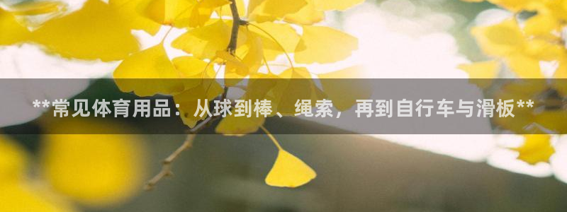 富联平台升 5O6917 平台：**常见体育用品：从球到棒、