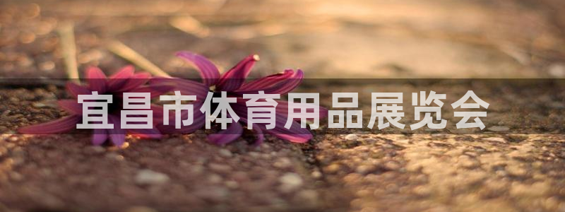 富联娱乐测速怎么样：宜昌市体育用品展览会