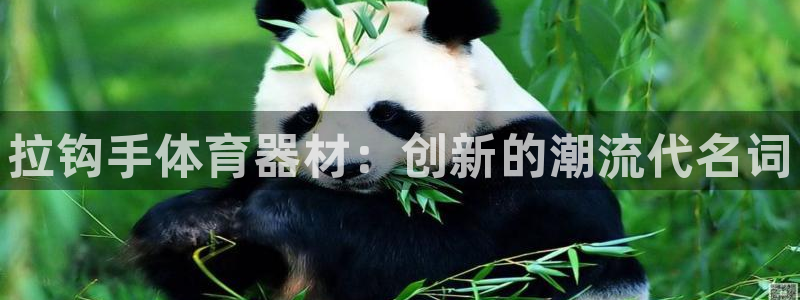 富联平台登陆：拉钩手体育器材：创新的潮流代名词