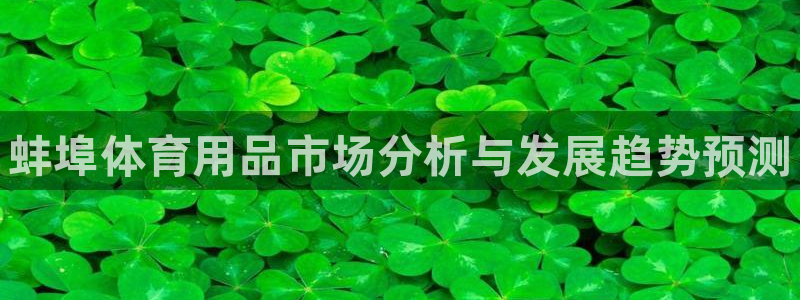 富联智能科技学院：蚌埠体育用品市场分析与发展趋势预测