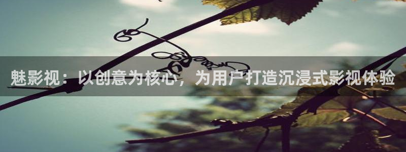 樱桃视频app免费下载地址：魅影视：以创意为核心，为用户打造沉浸式影视体验
