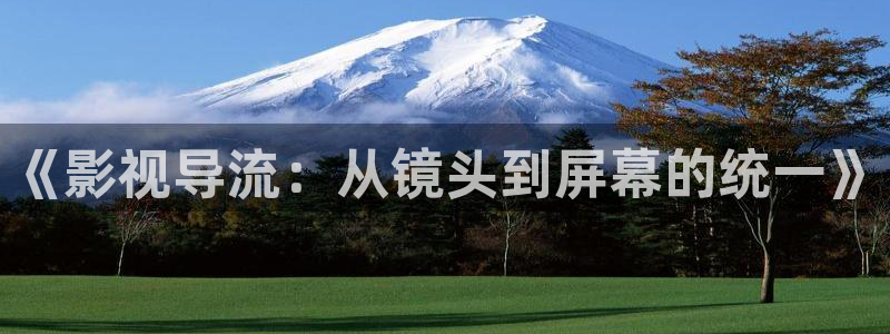 樱桃视频成人免费入口：《影视导流：从镜头到屏幕的统一》