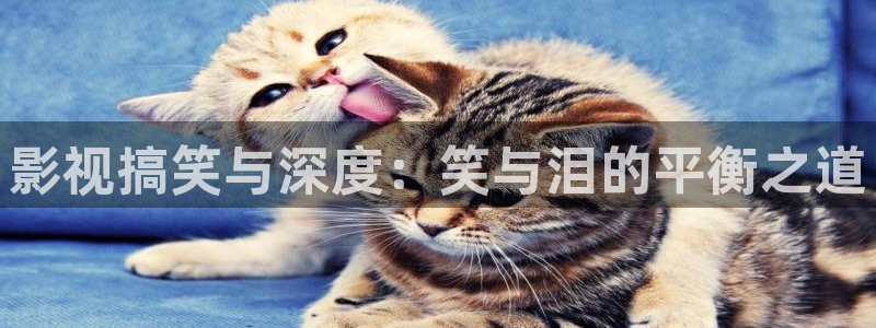 看片樱桃视频：影视搞笑与深度：笑与泪的平衡之道